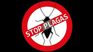 Cómo identificar y acabar con las plagas en edificios